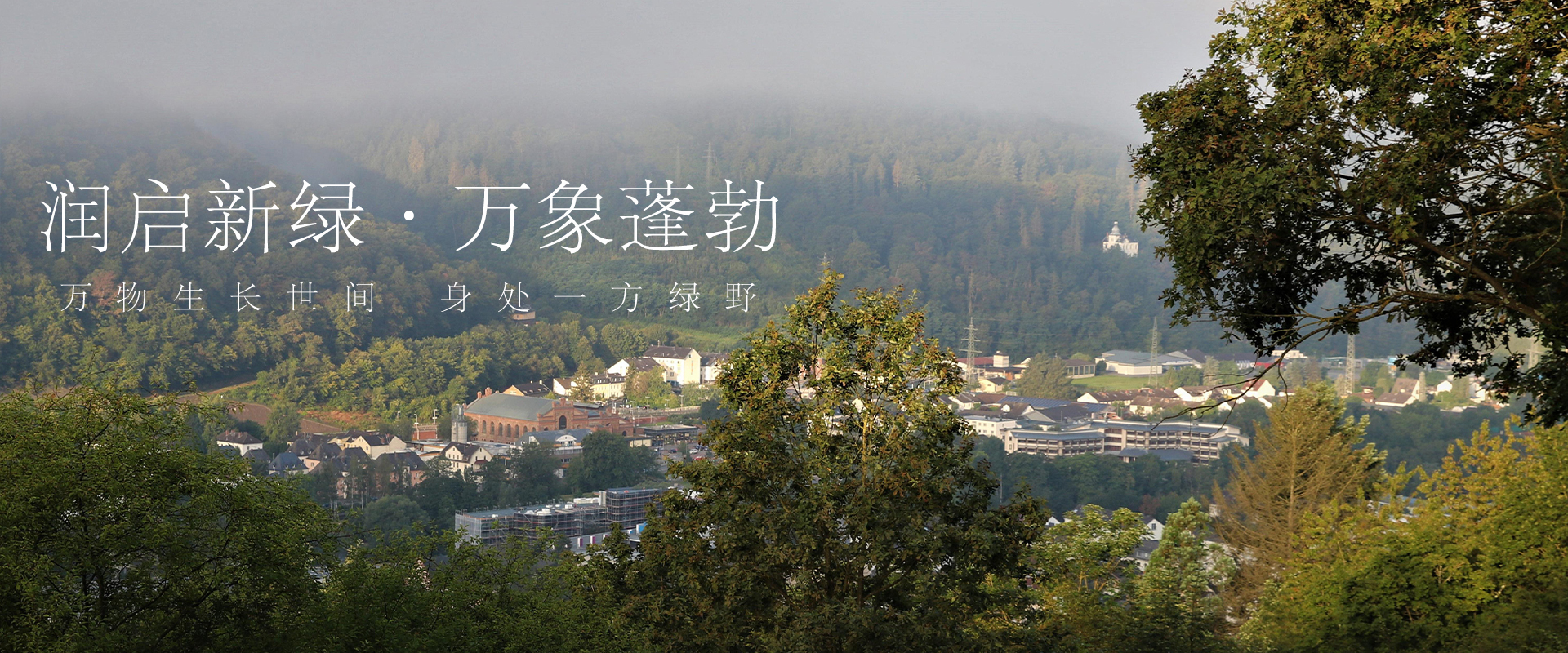 潤(rùn)啟新綠?萬象蓬勃