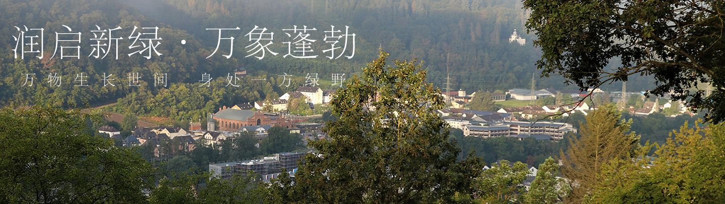 潤(rùn)啟新綠?萬象蓬勃
